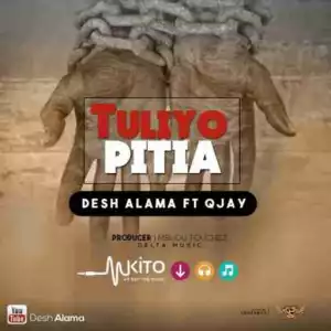 Desh Alama - Tuliyopitia Ft. Q Jay